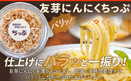 にんにくフレーク にんにくチップ にんにくパウダー にんにく 友芽にんにく 無添加 無着色 ガーリック スライス チップ パウダー 調味料 炒め物 福岡県 福岡 九州 グルメ お取り寄せ メール便（ポスト投函）