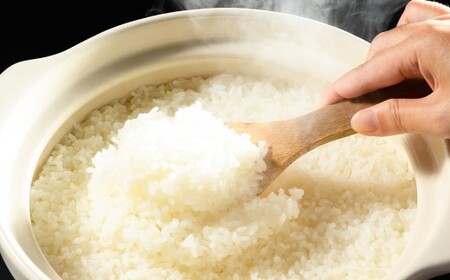 【令和7年産】茨城県産コシヒカリ 5kg	米 お米 おこめ コメ 白米 精米 ご飯 ごはん コシヒカリ こしひかり 茨城県 守谷市
