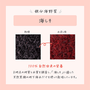 鉄分たっぷりの海藻 海しそ（あかねそう）（乾燥） 24g×3袋