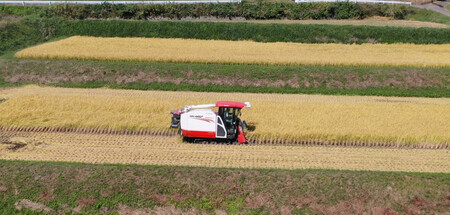 山梨県北杜市産 コシヒカリ 精米10kg お米 米 精米 10kg おいしい 粘り 上品な甘さ つや お弁当 おにぎり 山梨県 北杜市 [h358]