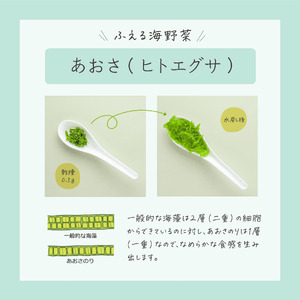 海藻２種おためしセット 乾燥 あおさ12g×1P 海しそ24g×2P