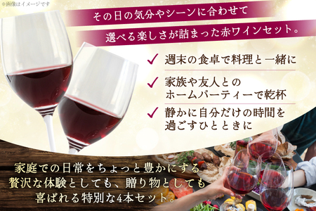 赤ワイン 4本 飲み比べセット　750ml×4本 [株式会社まあめいく 山梨県 韮崎市 20745328] 