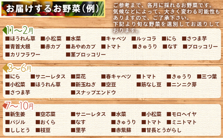 こだわりの新鮮野菜 4回定期 Waf-0004