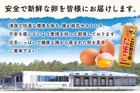 【定期便 12か月】 卵 30個 E253-09