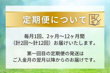 【定期便6ヶ月】静岡県産 緑茶 500ml×48本 ｜ ラベルレス ペットボトル お茶 飲料 ※沖縄・離島への配送不可