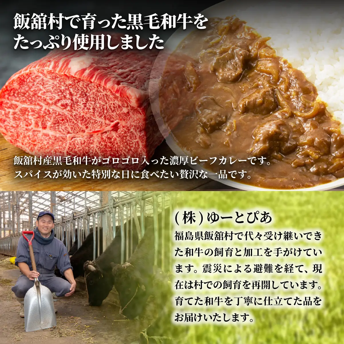 飯舘産黒毛和牛カレー　5食セット ITTAH009