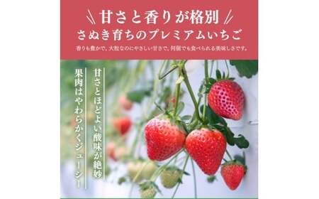 2027年発送 いちご さぬきひめ 約2kg 苺いちご
