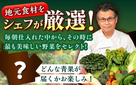 野菜定期便【全6回】旬野菜定期便+フルーツ[AGBX007]