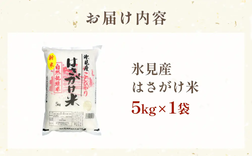 令和７年産 はさがけ米 精米5kg 富山県 氷見市 米 コシヒカリ こしひかり