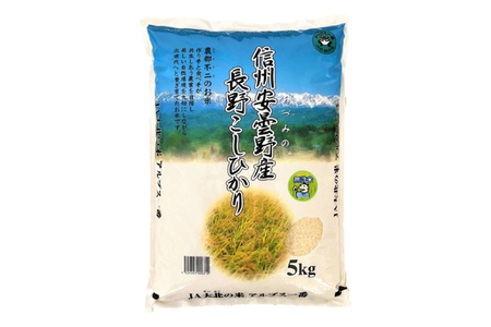 米 令和7年 長野県産 コシヒカリ 5kg（無洗米） [大北農業協同組合 長野県 池田町 48110834] 