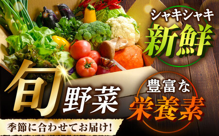 野菜+果物 詰め合わせ（13-17種）果物 フルーツ[AGBX006]