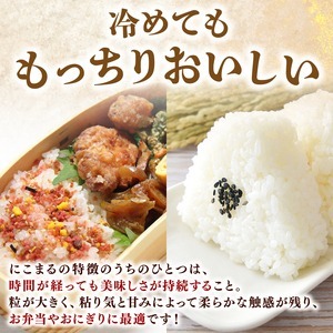 【令和8年産】 米 にこまる 計 30kg 定期便 5kg × 6回
