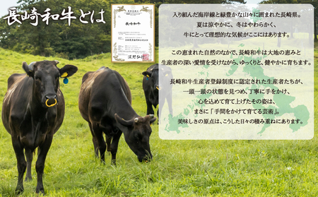 長崎和牛(A4等級以上) 焼肉6種食べ比べセット(計300g)