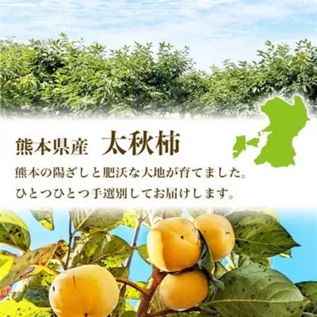 太秋柿 8～15玉 約3kg(益城町)【配送不可地域：離島】【1687212】