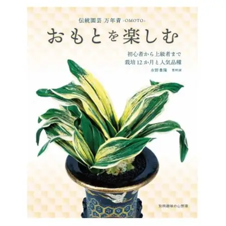 おもと講座と植え替え体験 徳川家康公の運気を上げた縁起物!【万年青プレゼント!】【1655543】