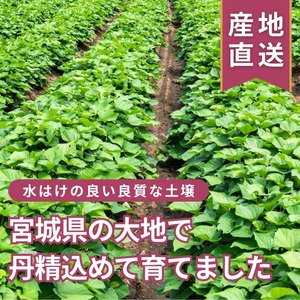 【デリシャスファームの干し芋】バラエティセット【delf002】