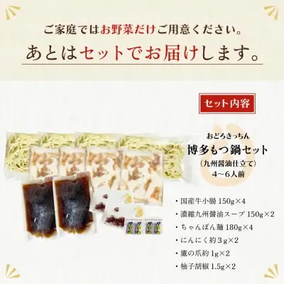 Z69-02 寄附額改定↓↓ おどろきっちん 博多もつ鍋セット(九州醤油仕立て)国産牛もつ600g 4～6人前 もつ鍋