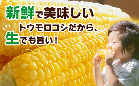 とうもろこし 味来 贈答用 5本 トウモロコシ 宮城県産 甘い 夏 朝採れ 産地直送 宮城県 大河原町