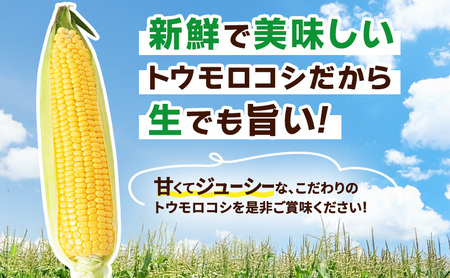 とうもろこし 味来 家庭用 5本 訳アリ トウモロコシ 宮城県産 甘い 夏 朝採れ 訳あり 産地直送 宮城県 大河原町