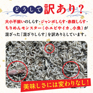 訳あり モリモリ2kg！バラエティ豊富な三河しらす～海の仲間たち～ 魚介類 しらす シラス 国産 海の幸 ご飯のお供 おつまみ しらす丼 グルメ やみつき 冷凍　H018-040