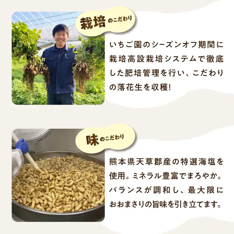 塩茹で落花生 旨っ花生 落花生 おおまさり 豆 おつまみ ピーナッツ 冷凍 小分け 食べきり 数量限定 福岡県 八女市 090-009