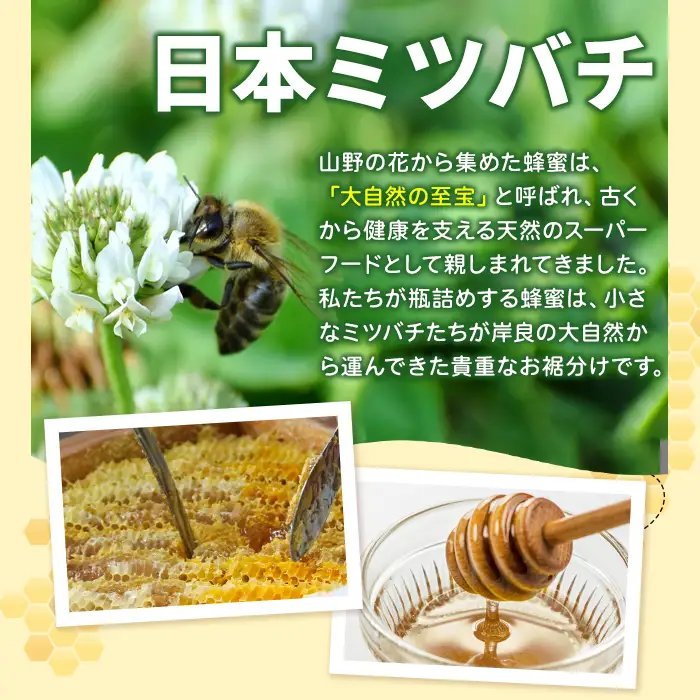 【A96001】日本ミツバチ 生百花 蜂蜜(約350g) 鹿児島 国産 九州産 蜂蜜 ハチミツ はちみつ 生はちみつ 日本ミツバチ ハニー 天然100％ 非加熱 無添加 蜜 日本ミツバチ 生はちみつ 生蜂蜜 トースト ハニートースト ヨーグルト【ハニー工房　蜜乃蔵】