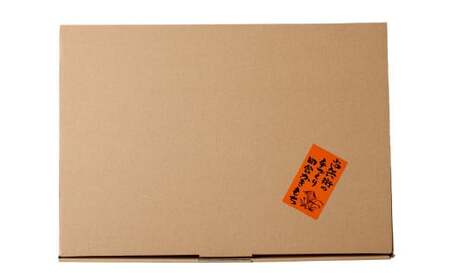 BI-8 尚兵衛の手づくり田舎かきもち 揚もち唐がらし 180g×4袋 計720g もち米 おかき ピリ辛 唐辛子 和菓子 菓子