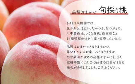桃も葡萄もしっかり食べたい！旬桃とシャインマスカットの満足便 (定期便) (岡山県産) / 8月10月 【2026年先行予約】 【KF-T062-02】