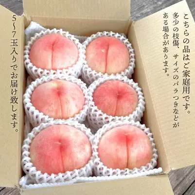 旬の桃の食べ比べを楽しむ、桃の２回便！(定期便) (岡山県産)【KF-T025-01】
