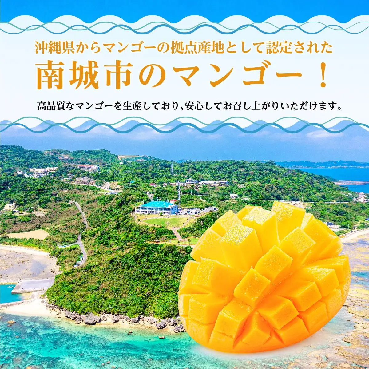 キーツマンゴー1kg  贈答用   