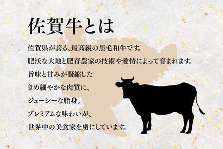 佐賀牛【希少部位・数量限定】トモサンカク焼肉(500g)(H107118)