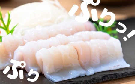 旨味たっぷり！旬の朝どれ寒シマメ（スルメイカ）丸ごと5～6本（1kg以上）＜便利な個包装＞お歳暮 お正月