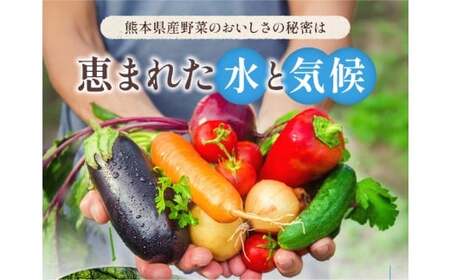 【 6ヶ月 連続 定期便 】 熊本県 10品目 野菜 セット 6ヶ月 定期便 フレッシュ 新鮮 野菜 青果 サラダ おまかせ お任せ 厳選 お楽しみ ランダム 冷蔵