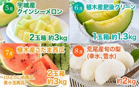 【 3か月 連続 定期便 】 熊本県 フルーツ 3ヶ月 定期便 果物 くだもの 旬 いちご 柑橘 スイカ メロン 柿 梨