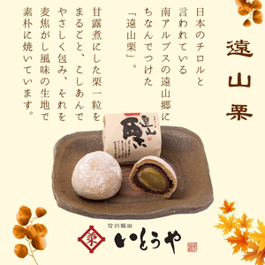 ふるさと 銘菓 詰め合わせ （ 12個入 ）| 菓子 和菓子 職人 老舗 詰め合わせ セット 栗 りんご きんつば 和 スイーツ デザート 手土産 長野県 飯田市