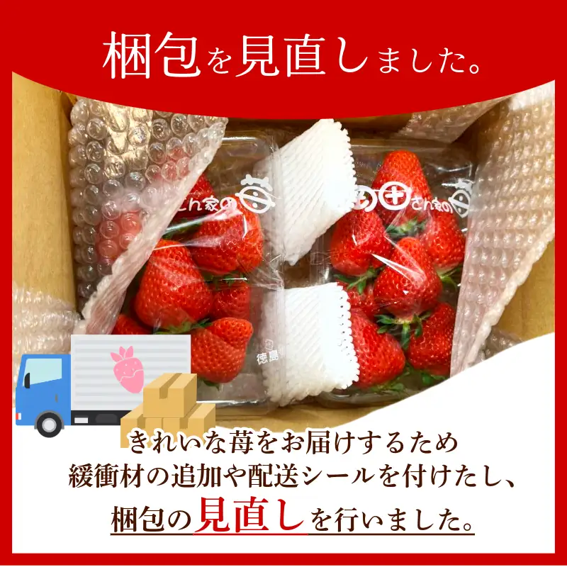 いちご 1kg 紅ほっぺ いちご