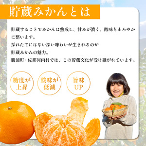 みかん 訳あり 10.2kg みかん