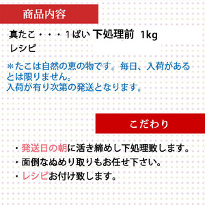 活き締め真たこ1ぱい約1kg　レシピ付き 蛸 生 刺身
