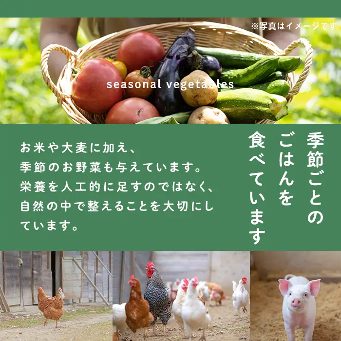 鶏とわたしの平飼い玉子 30個(10個入り×3パック) たまご 卵 卵焼き 生卵 ゆで卵 卵かけごはん 鶏卵 鶏 平飼い 【鶏とわたし】tm545