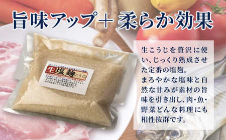 【国産生麹使用】 発酵調味料 4点セット 塩麹・麦塩麹・醤油麹・玉ねぎ塩麹 各200〜250g