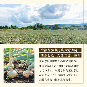 《先行予約受付中！》＜北海道士別市たよろ産＞甘みと旨味が詰まった 玉ねぎ ( 5kg ) 【2026年10月中旬以降発送予定】たまねぎ 玉葱 野菜 北海道産 士別市産 料理 【悠farm後藤】【A7131】