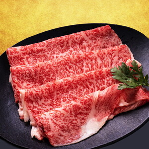 ＼生活応援中★／飛騨牛食べ比べセット (赤身すき焼き・しゃぶしゃぶ用500g、赤身焼肉用500g） ※離島への配送不可