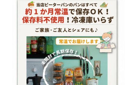 パン お米のドライジンジャーシナモンバゲット 4本 [BACW024] パン