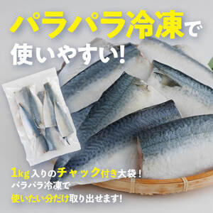 さば フィーレ 無塩 (計2kg・1kg×2袋) サバ 鯖 切り身 フィレ パラパラ冷凍 無塩 国産 便利 簡単 【AQ101】【やまろ渡邉】
