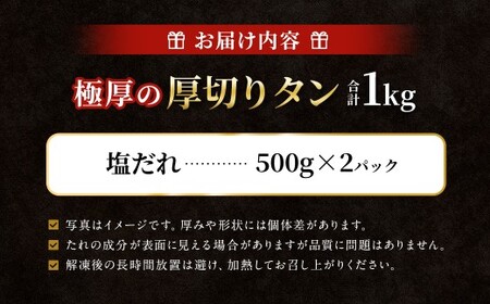  極厚の厚切りタン 1kg （500g×2パック） 塩だれ×塩だれ ／ 厚切りタン 牛タン 牛たん タン たん 牛肉 お肉 肉 厚切り 大阪府 阪南市 冷凍