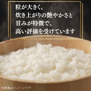 東庄町産　コシヒカリ　精米　5kg / 米 こめ コメ お米 おこめ コシヒカリ こしひかり 令和7年 白米 精米 ごはん 5kg 千葉県 東庄町 送料無料
