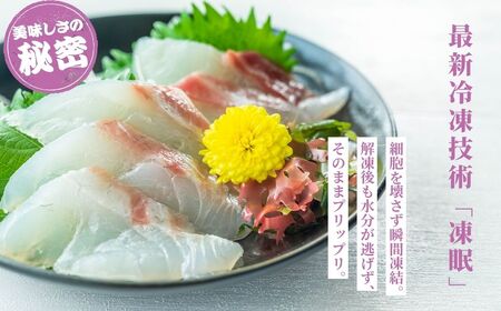 瀬戸内「天然」真鯛 お刺身用 400g 柵でお届け（急速冷凍）便利な小分け 100gパック 【鯛 マダイ タイ 鯛めし 鯛茶漬け ブロック 海鮮 魚介 即日加工 鮮度抜群 個包装 おせち 正月 正月料理】