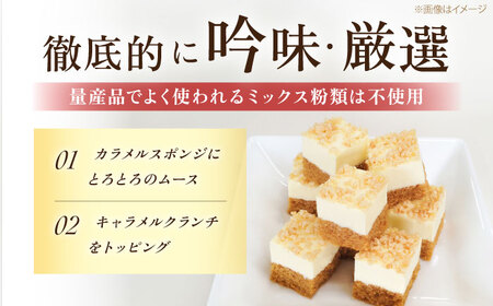 【訳あり】とろっと！プリンムース 【ファミール製菓株式会社】[AKCI026]