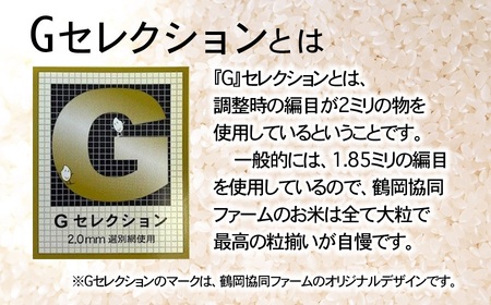 【令和8年産先行予約】特別栽培米つや姫 10kg (5kg×2袋)×6ヶ月【定期便】　鶴岡協同ファーム 