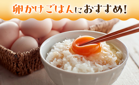鳥骨鶏卵（20個）とプリン（3個）のセット たまご 烏骨鶏 プリン スイーツ お菓子 静岡県 森町